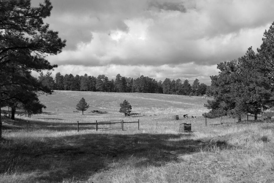 Best Limon Campgrounds