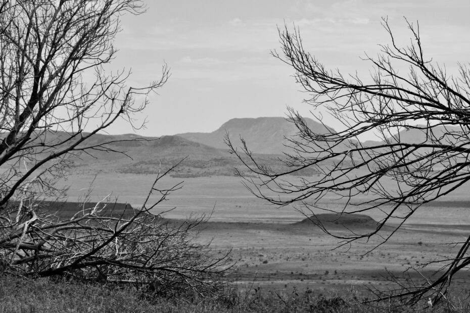 Best Marfa Campgrounds
