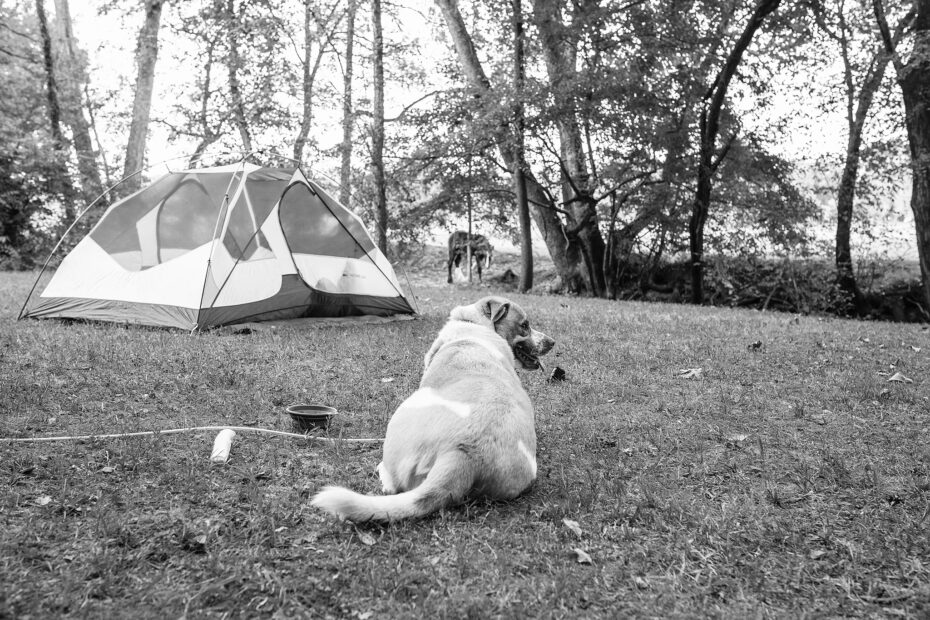 Best Mocksville Campgrounds
