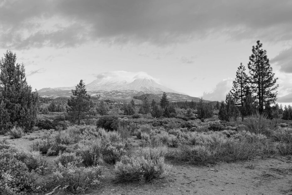 Best Mount Shasta Campgrounds