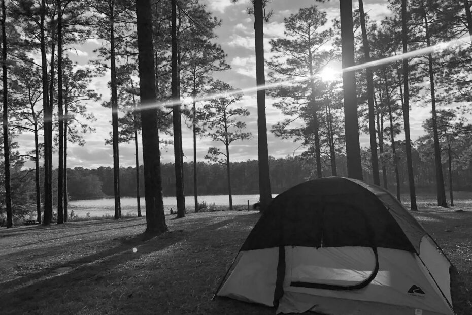 Best Niceville Campgrounds