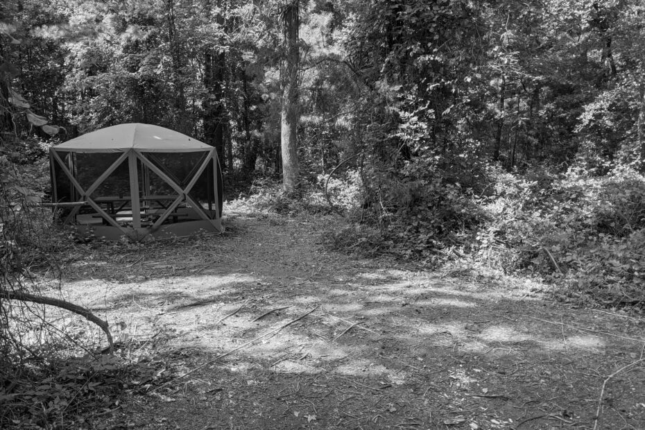 Best Onancock Campgrounds