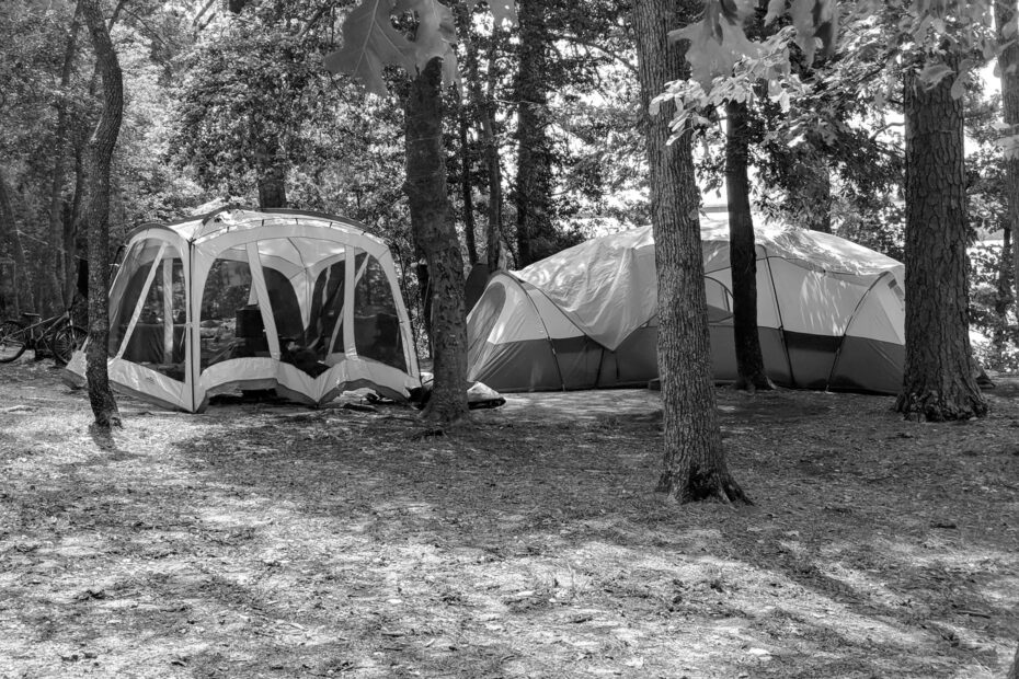 Best Petersburg Campgrounds
