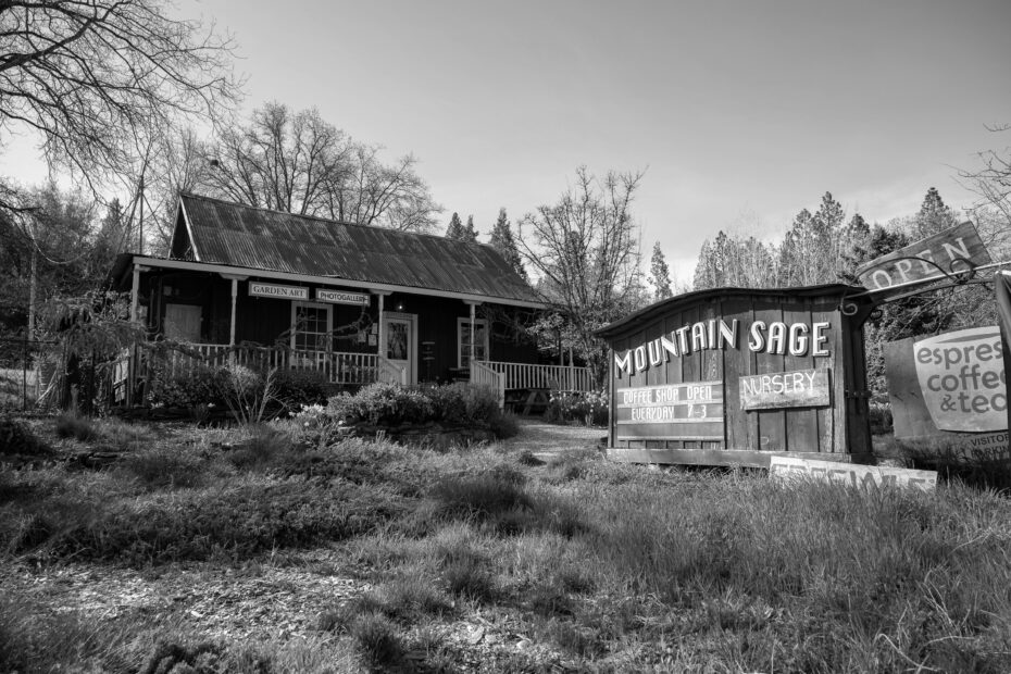 Best Pine Mountain Lake Campgrounds