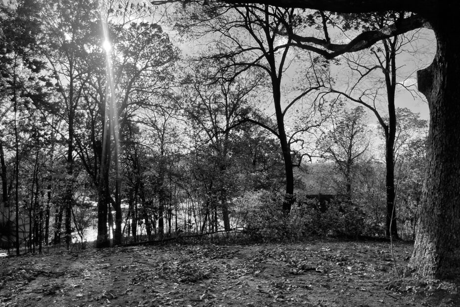 Best Poplar Bluff Campgrounds