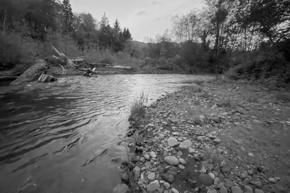Best Poulsbo Campgrounds