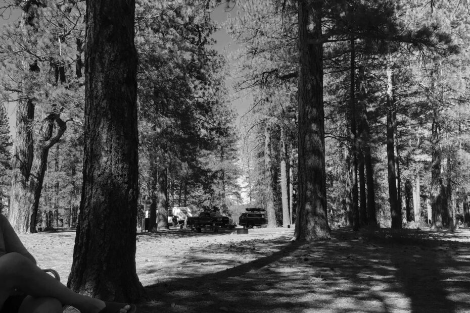 Best Prosser Campgrounds