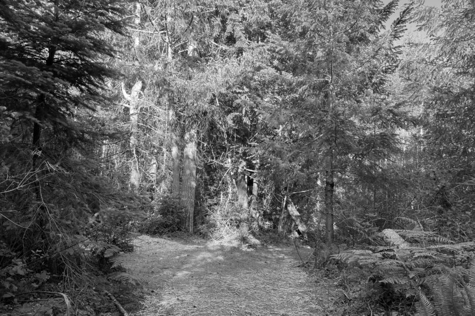 Best Puyallup Campgrounds