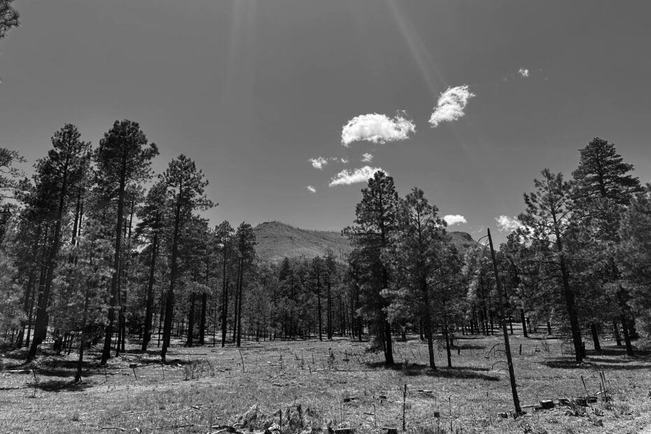 Best Quemado Campgrounds