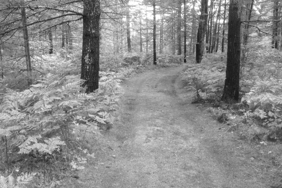 Best Roscommon Campgrounds