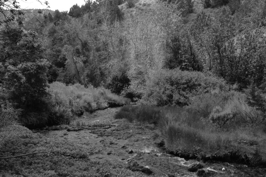 Best Rush Valley Campgrounds
