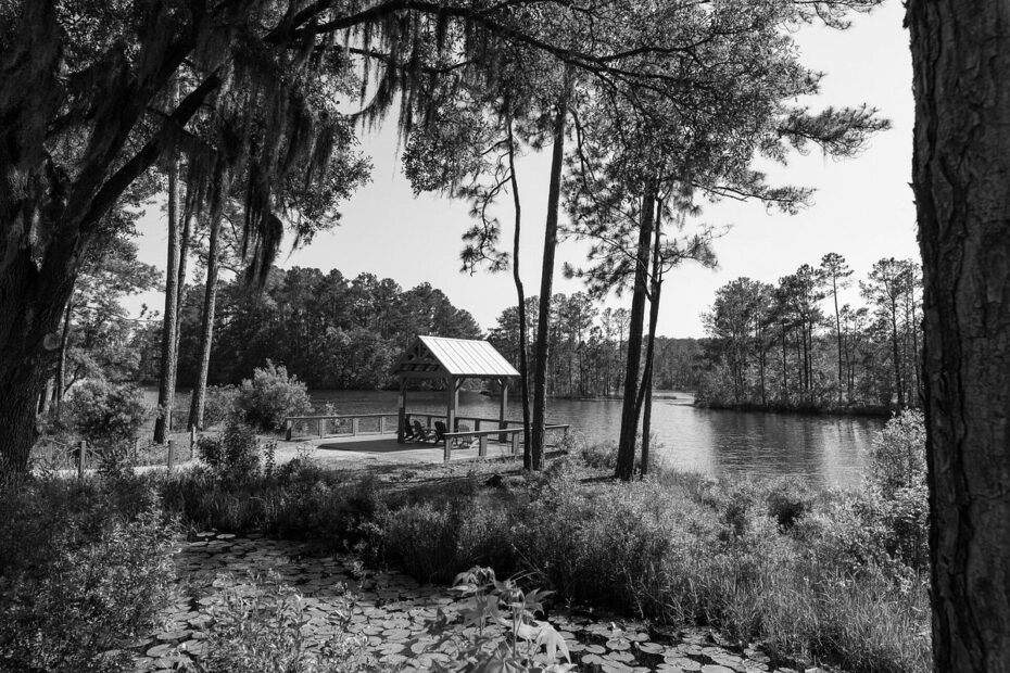 Best Seabrook Island Campgrounds