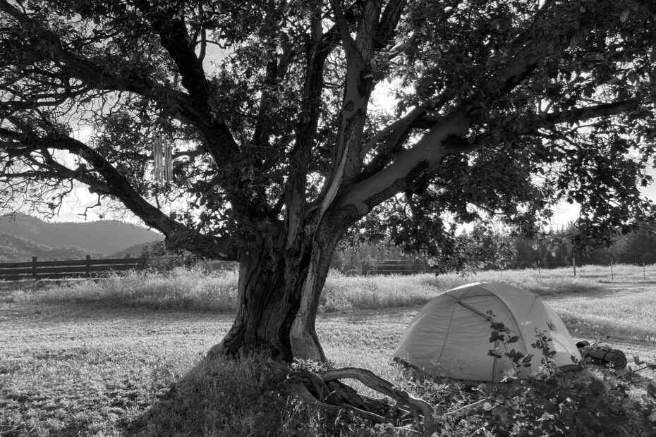 Best Shady Cove Campgrounds