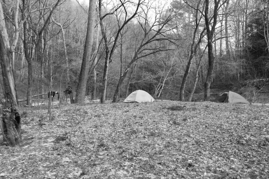 Best Sipsey Campgrounds