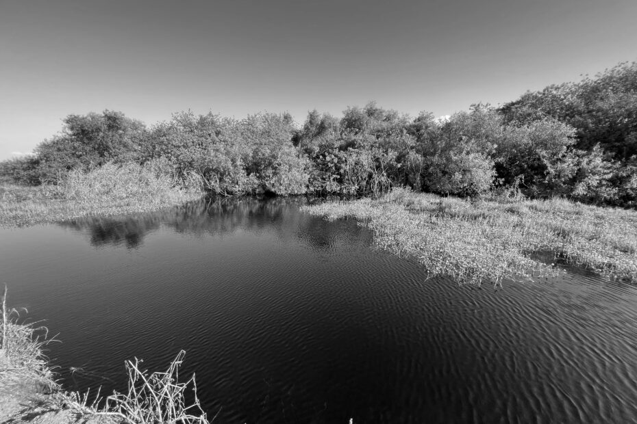 Best Southwest Florida Campgrounds