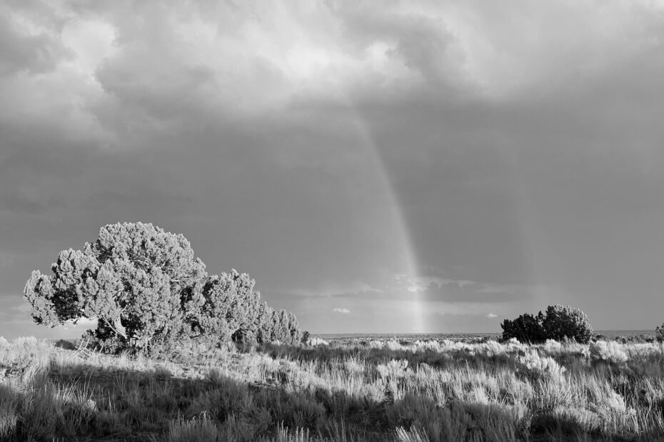 Best Springerville Campgrounds