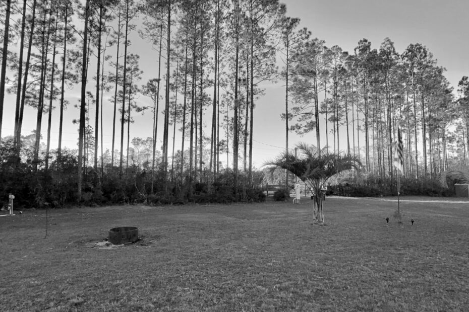 Best St Marks Campgrounds