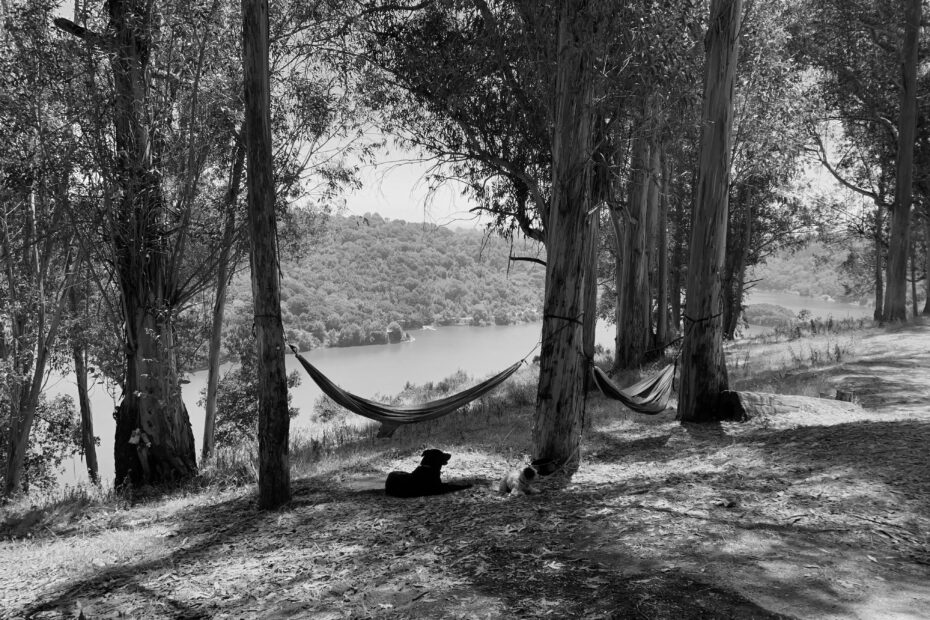 Best Sunol Campgrounds