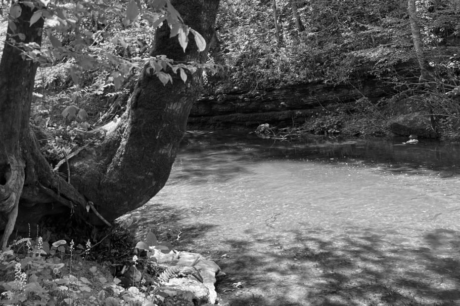 Best Tennessee Campgrounds