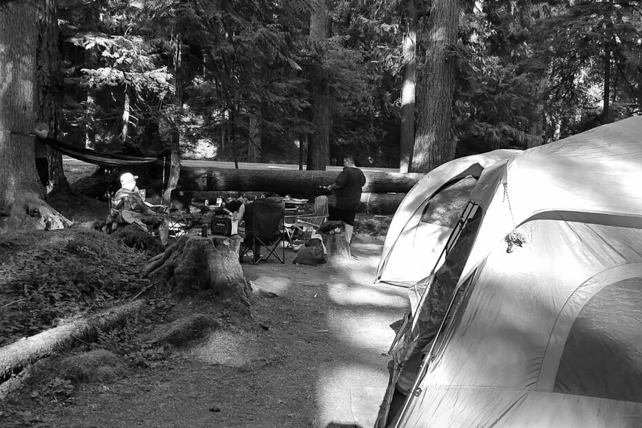 Best The Dalles Campgrounds