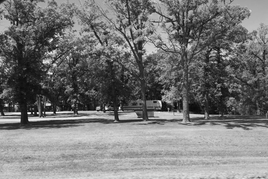 Best Thief River Falls Campgrounds