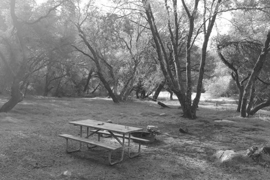 Best Three Rivers Campgrounds