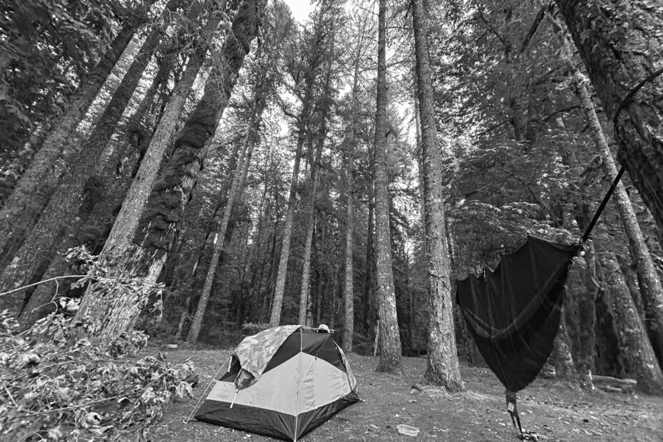 Best Troutdale Campgrounds