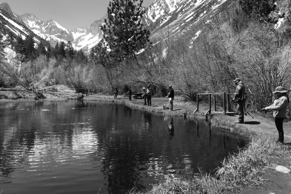 Best Turlock Campgrounds