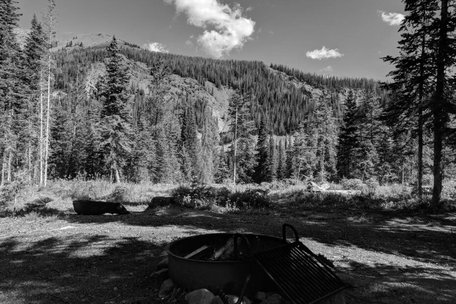 Best Walden Campgrounds