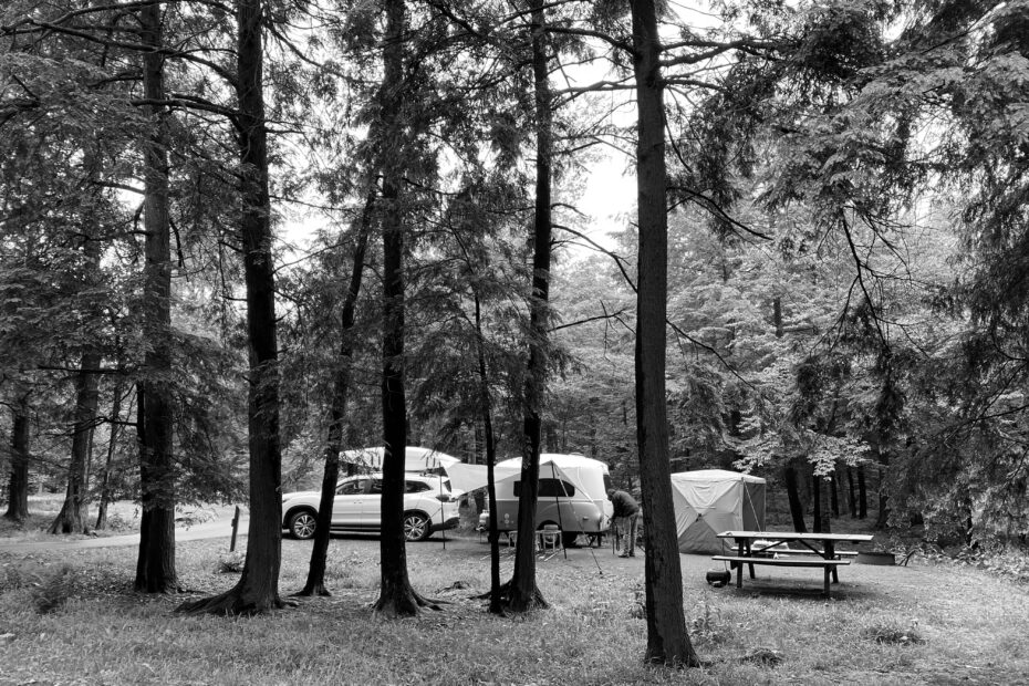 Best Whispering Pines Campgrounds