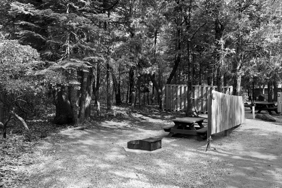 Best Whitmore Lake Campgrounds