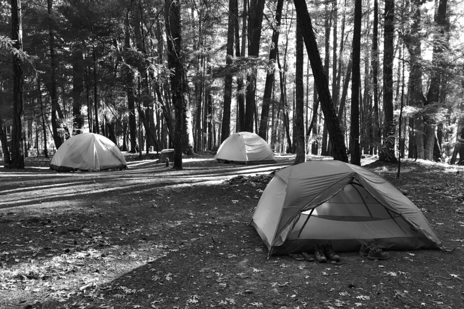 Best Willits Campgrounds