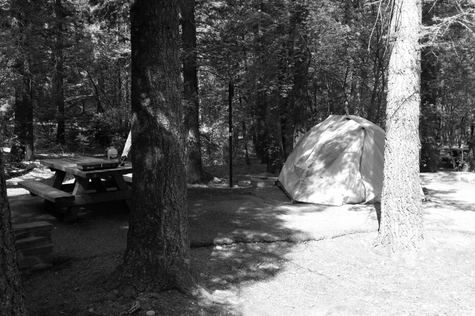 Best Winston Campgrounds