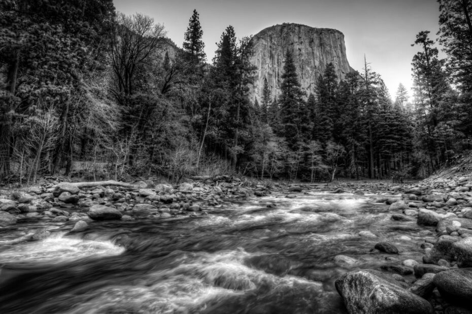 Best Yosemite Campgrounds