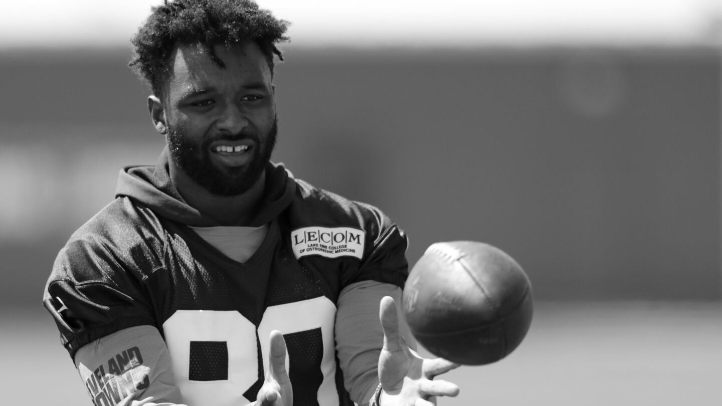 Jarvis Landry college football wide receiver